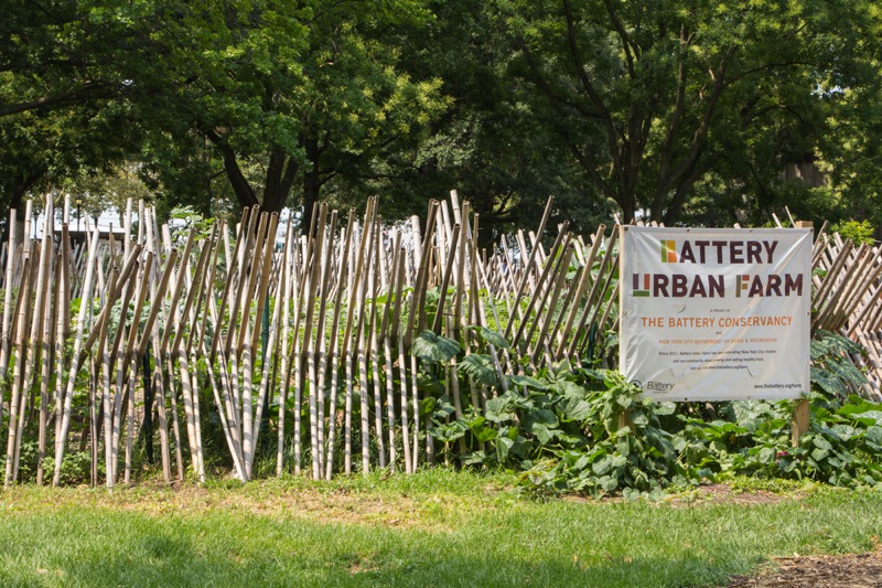 Educational Battery Urban Farm project in Manhatten New York